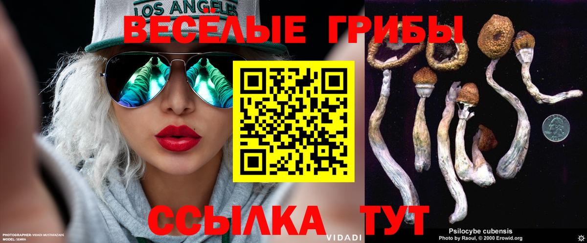 Галлюциногенные грибы GOLDEN TEACHER  Псилоцибиновые грибы мицелий  Чебоксары  Вход с VPN 